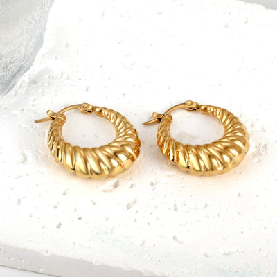 18k gold pvd Hoop Earrings