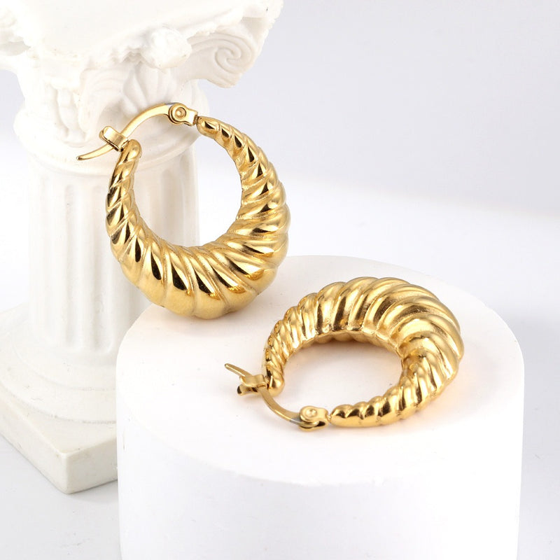 18k gold pvd Hoop Earrings